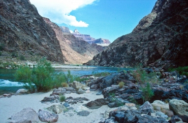 Colorado River im Grand Canyon, Arizona